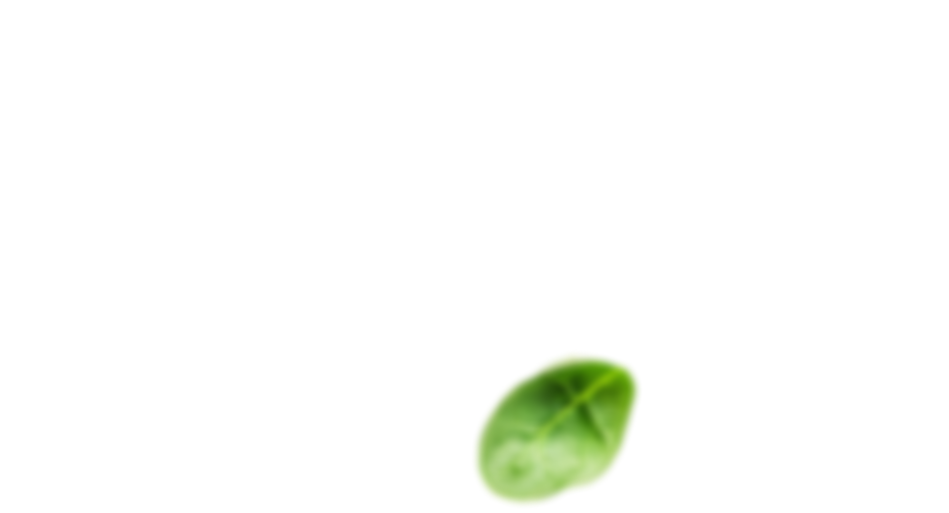 Imagen de una hoja de menta