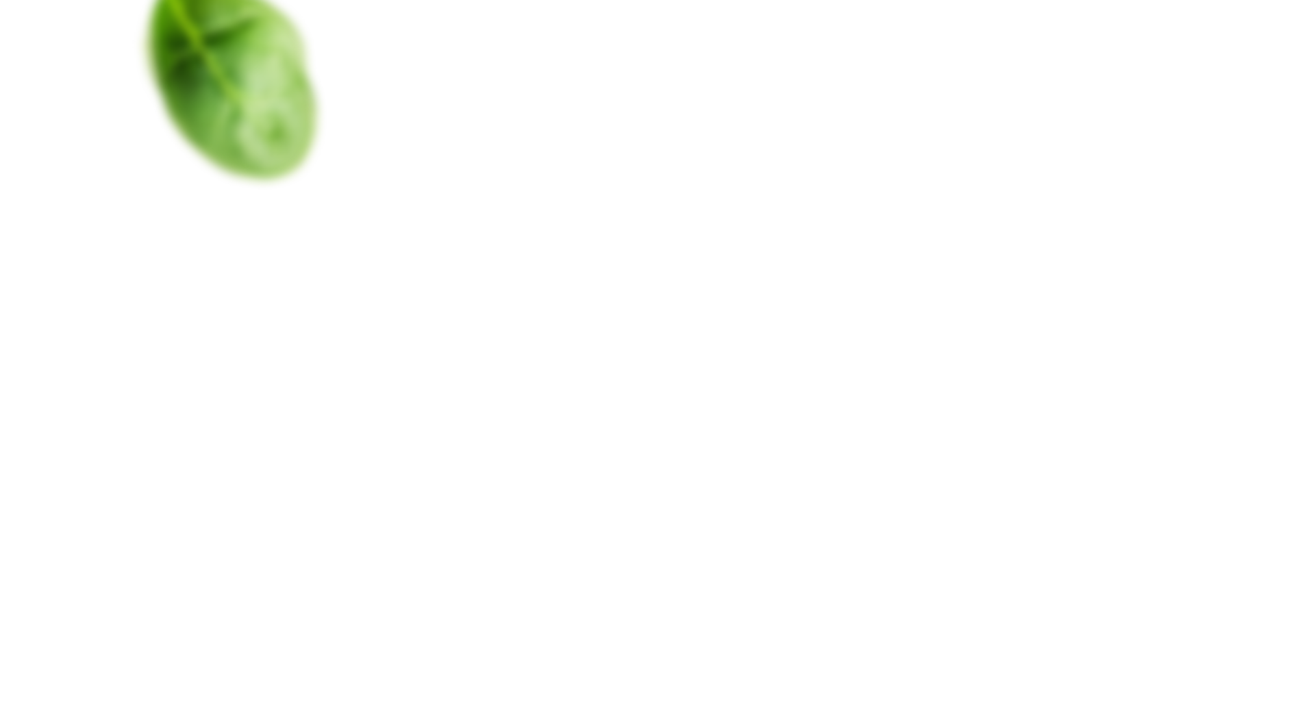 Espinaca